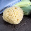 Neptune Natural Sea Wool Sponge - All Natural Honeycomb Renewable Sea Sponge, Jumbo, Approx. 7 Inches