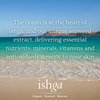 ishga Invigorating Body Oil | Natural & Organic Skincare | Scottish Seaweed | Jojoba, Sweet Almond, Essential Oils | Vegan, Cruelty-Free | 1.01fl oz (30ml)