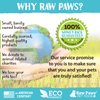 Raw Paws Organic Coconut Oil for Dogs & Cats, 8-oz - Treatment for Itchy Skin, Dry Nose, Paws, Elbows, Hot Spot Lotion for Dogs, Natural Hairball Remedy for Dogs & Cats