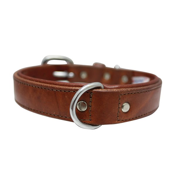 Genuine Top Grain Leather Padded Dog Collar | Handmade | Super Soft & Strong | Western Tooled Dog Collar | Brass & Stainless Steel Hardware | Dallas Collection by Angel Pet Supplies