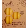 Hyoola Beeswax Candles 12 Pack - All Natural 100% Beeswax Tree Candles - 1/2 Inch Candles - Handmade in The USA - Yellow