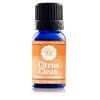 Woolzies 100% Pure & Natural Citrus Clean Essential Oil Blend |Orange & Lemongrass Therapeutic Grade | Use with Wool Dryer Balls or Oil Diffuser 1 Fl OZ (0.33 Fl Oz)