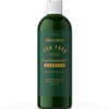 Invigorating Tea Tree Mint Shampoo - Rosemary Mint Shampoo for Oily Hair with Tea Tree Oil for Hair - Aromatherapy Clarifying Shampoo for Build Up Dry Scalp and Flakes with Essential Oils for Hair