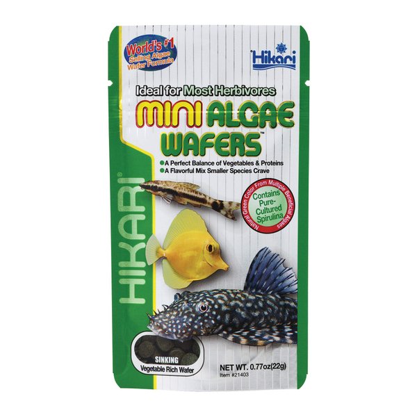 Hikari Mini Algae Wafers, 0.77 oz