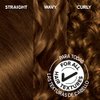 Garnier Hair Color Olia Ammonia-Free Brilliant Color Oil-Rich Permanent Hair Dye, 5.3 Medium Golden Brown, 2 Count (Packaging May Vary)