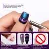AILALUO Cat Eye Nail Polish,Magnetic Effects with Chameleon Natural Air Drying Nail Art Salon Manicure Home((A01, 10ML)