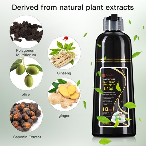 Pwishef Black Hair Dye Shampoo 100% Coverage Gray Hair for Women & Men, Hair Color Shampoo 4 in 1 Long Lasting Professional Hair Care 500ML