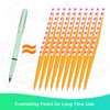 Catcan 3Pcs Everlasting Pencil Reusable, Exquisite Inkless Eternal Pencil Unlimited Writing Pen Erasable Infinite Pen with 6Pcs Replacement Nibs