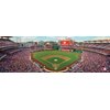 MasterPieces MLB Washington Nationals Stadium Panoramic Jigsaw Puzzle, 1000-Piece