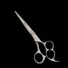 Kashi C-108D Japanese Cobalt Steel Cutting 3 Ring 5.5" Salon Hair Shears