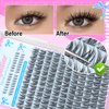 calphdair Natural Lash Clusters with Bottom Lashes DIY Wispy Cluster Eyelash Extensions C Curl Individual Lashes 11-13mm Short Eyelash Clusters Manga Cluster Lashes with Bottom Lash Extension 164pcs