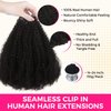 Lashey Clip in Hair Extensions Real Human Hair 16 Inch 110g 7pcs Afro Kinky-Curly Human Hair Clip Ins 4c Natural Black Hair