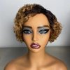 Iianaebeh Short Curly Human Hair Wigs for Black Women, Side Part Wig, Pixie Cut Brazilian Remy Human Hair, Deep Curly None Lace Front Ombre Blonde Wigs (T30)