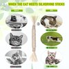 GBSYU 3 Pack Silvervine Cat Toy, Silvervine Sticks Cat Toys for Indoor Cats, Cat & Kitten Chew Toys for Aggressive Chewers, Cat Dental Toy for Kitten Teeth Cleaning, Matatabi Silvervine for Cats