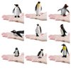 Ocean Sea Animal Model Figures Series Arctic Penguin Family Figurines Collection Gift Wild Life Playset(9 pcs)