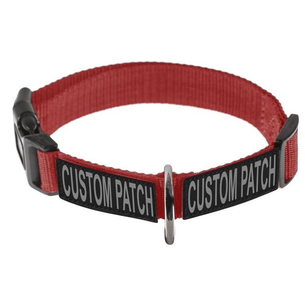 Dogline Omega Nylon Collar for Dogs with 2 Removable Seizure Alert Patches (Custom, 20"-26")