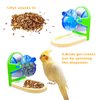 Foraging Toys for Birds with Mirror, Parrot Toys for Feeding, Parakeet Mirror Bird Toys, Cage Accessories for Budgies, Cockatiels, Lovebirds, Canaries, Conures, Quaker, Other Small to Medium Birds