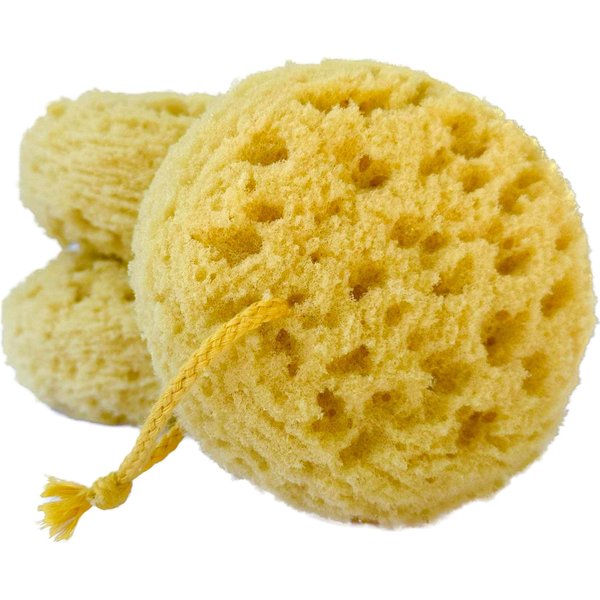 Michelle's Melting Pot Exfoliating Foam Sea Sponge, Natural Feel, Shower Loofah, Bath Sponge, Rich Lather (Set of 3)