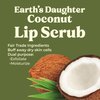 Organic Coconut Lip Scrub – 0.7oz – USDA Organic, Fair Trade, Sugar, Jojoba Oil, Beeswax, Coconut Oil, Calendula Extract