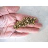 Generic Bronze gold or silver flower leaf crystal hair clip barrette bridal hair clip (Primary color: Silver/clear crystal)