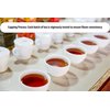 Cha4TEA 36-Count Green Tea Pods for Keurig K-Cup Brewers