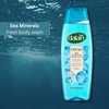 Dalan Natural Extracts Body Wash, with Fresh Pink Grapefruit & Aloe Vera & Sea Minerals, 15.2 fl oz (6 Pack, Sea Minerals)
