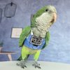 Bird Flight Harness Vest, Parrot Flight Suit with Leash, Bird Flying Clothes with Rope and Handle for Outdoor Activities (with Leash,Green Quaker)