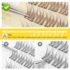 JIMIRE Brown Self Adhesive Eyelashes Press on Lash Clusters Natural Look Pre Glued Brown Cluster Eyelash Extension Wispy 10-12MM Brown Individual Lashes Clear Band Reusable Self Adhesive Lashes