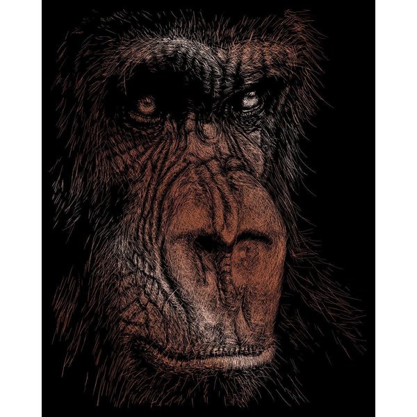 Royal Brush Copper Foil Engraving Art Kit 8"X10", The Wise Simian