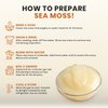 Gold Sea Moss Raw Organic| Makes 80oz of Gel - 100% Wild Crafted| Non-GMO Sun-Dried Mineral Rich Super Food for Energy| Booster Healthy, Immunity Digestion (4oz)