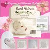 Seed Bloom 24-Piece Set Handmade Seed Paper Embedded With Wildflower Seeds Recycled Seeded Paper Tags, Cards Stationery & Wrapping Supplies (Hearts, Envelope, & Planting Guide)
