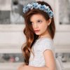 Campsis Girls Headpiece Flower Headbands Pearl Communion Hair Accessories Crystal Girls Birthday Photography Hair Band for Women and Girls(Blue)