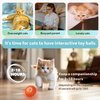 jkddrep Interactive Cat Toy，Wloom Automatic Moving Cat Toy Ball 2.0 for Cats with Cat Ball Shell,USB Rechargeable Cat Toy Indoor Playing Stimulate Hunting Instinct The Best Gift for Cats