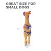 Outward Hound by Charming Pet Squawkers Henrietta Latex Rubber Chicken Interactive Dog Toy, Small
