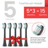 Replacement Toothbrush Heads Compatible with AquaSonic Black Series, Vibe Series, Black Series Pro,and for Duo Series Pro Electric Toothbrush Black, Pack of 5