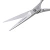 Tweezerman Stainless 2000 Styling Shears, 5.5 - Hair Scissors for Women and Men
