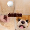 16 Inch- Pomeranian Stuffed Animals Toy Dog,Plush Puppy Realistic Cute Toy Dog Present Gift for Girls Boys with Box