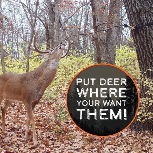 HODAG Licking Branch System to Create Effective Mock Scrapes (HiViz Orange) | Deer Hunting Accessories | Deer Hunting Gear | Trail Camera Accessory | Bow Hunting Accessories | Deer Hunting Gifts