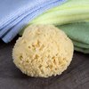 Neptune Natural Sea Wool Sponge - All Natural Honeycomb Renewable Sea Sponge, Medium, Approx. 4 Inches