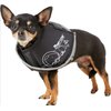 All Four Paws Comfy Cone Pet Cone for Dogs, Cats, X-Small, Black - Comfortable Soft Dog Cone Collar Alternative for After Surgery, Wound Care, Spay, Neuter - Dog and Cat Recovery Collar