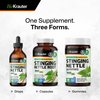 Stinging Nettle Capsules - Natural Urinary Tract & Overall Health Support - Organic Nettle Root Powder (Urtica Dioica) 1800 mg - 250 Vegan Pills - Non GMO