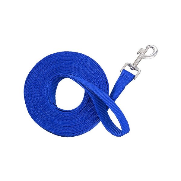 Tough 1 Nylon Web Lunge Line, Blue , 1" x 20'