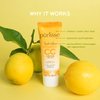 purlisse Youth Glow Vitamin C CC Cream SPF 50: Cruelty-Free & Clean, Paraben & Sulfate-Free, Full Coverage, Hydrates with Hyaluronic Acid | Fair 1.4oz