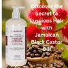 Jamaican Black Castor Oil Strengthen, Restore, Hair Care Bundle | Conditioner, Shampoo, Leave-in Conditioner, Oil/Serum | Fortify, Reduce Breakage for Healthier Hair, (4 pcs), 34 fl. oz