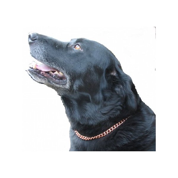 Copper Magnetic Therapy Dog Collars Made to Measure in Solid Copper with Magnets (24 inch)