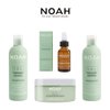 NOAH Yal Thyme + Hyaluronic Acid Shampoo and Conditioner Set, Cruelty Free, Vegan, Anti-aging, Detangling, Fortifying and Moisturizing - Hair Care for Natural Beauty - 8.5 fl.oz (250 ml) Each