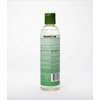 EDEN BodyWorks Peppermint Tea Tree Clear Clarifying Shampoo | 8 oz | Refresh Scalp, Remove Build Up, Prevent Dandruff - Packaging May Vary