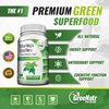GreeNatr Pure Moringa Oleifera Leaf Extract Veggie Capsules 1000 mg. Natural Herbal Supplement. Energy, Mood, Memory and Focus Support. Premium Green Superfood (3 Bottles)