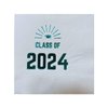 Paper Frenzy Graduation Foil Stamped Party Napkins Class of 2024-25 pack, Blue