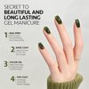 GAOY Jelly Gel Nail Polish, 16ml Sheer Green Translucent Soak Off Gel Polish, UV Light Cure for Nail Art DIY, 2138 Everglade Green